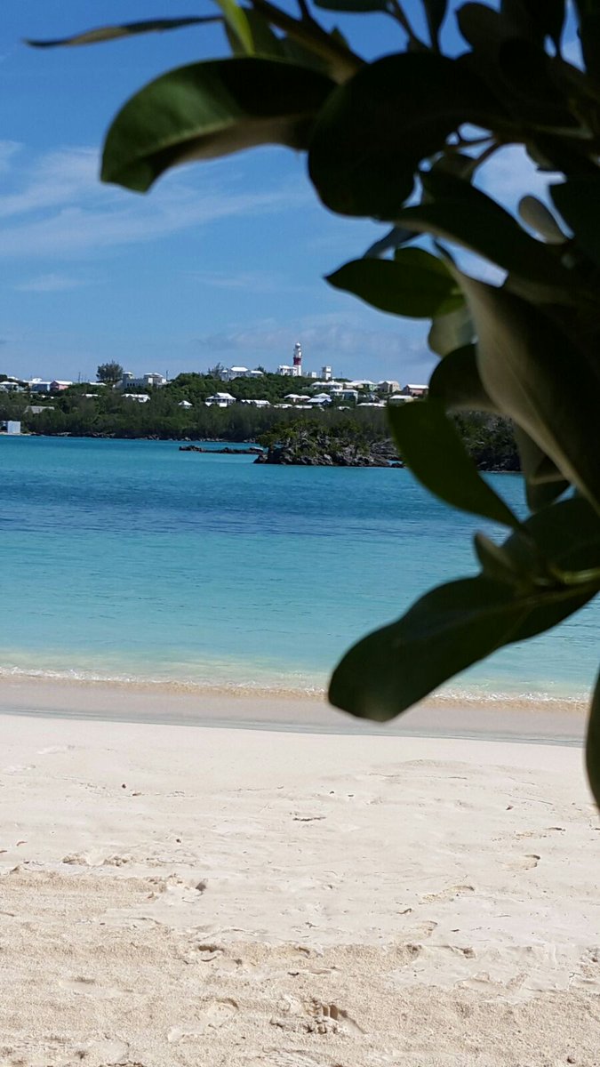 DeBackpacker's tweet image. Not just #pink powdered sand, not just #turquoise water not just #pastel coloured houses #Bermuda #lovemyhome