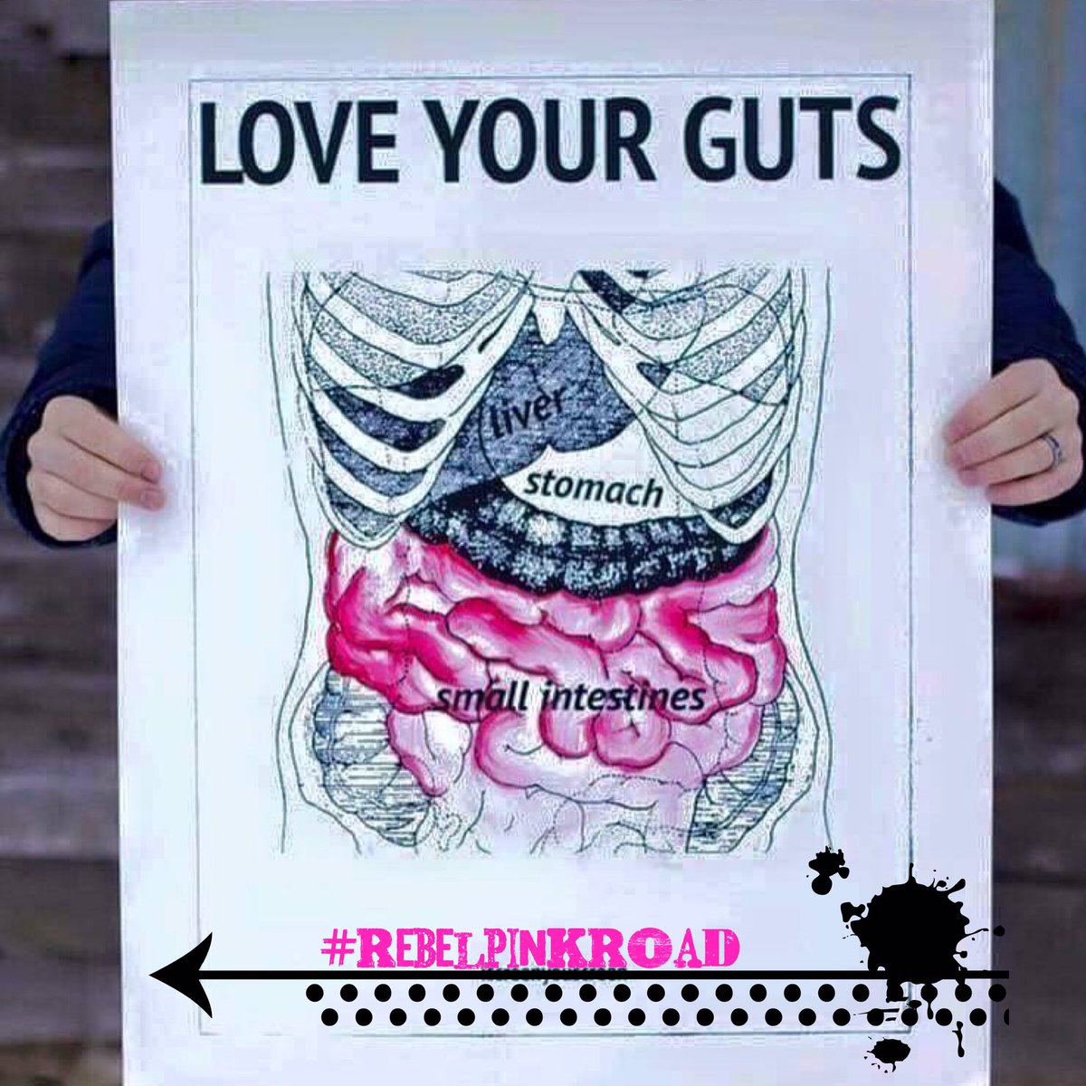 PlexusPinkRoad's tweet photo. #PLEXUS #allnatural #plantbased #Supplements #guthealth #detox #rebelpinkroad #ATX #joinus https://t.co/opbGHv1aNp