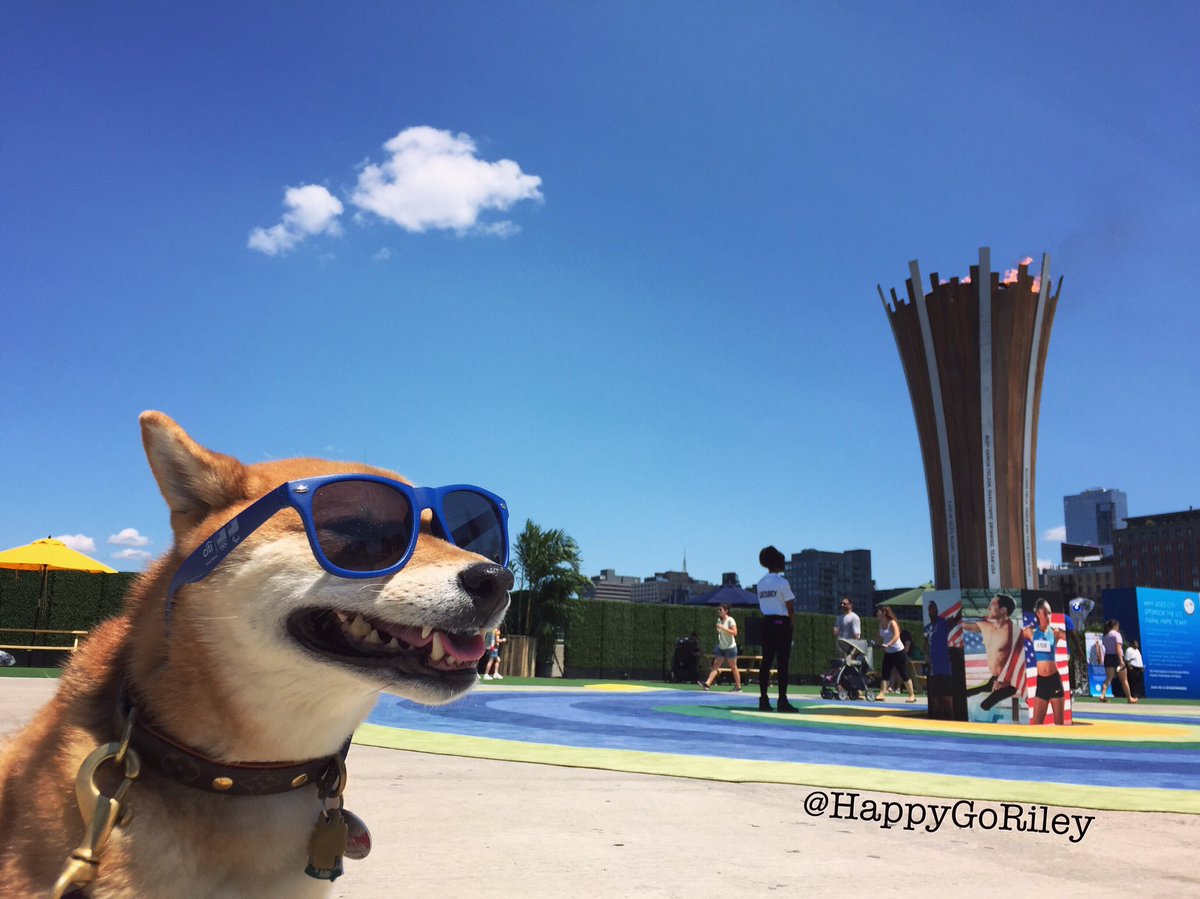 HappyGoRiley carrying the torch to Tokyo 2020!!🔥🏅🇯🇵 <a href="/Olympics/">The Olympic Games</a> #TeamUSA #Tokyo2020 #shibe #doge