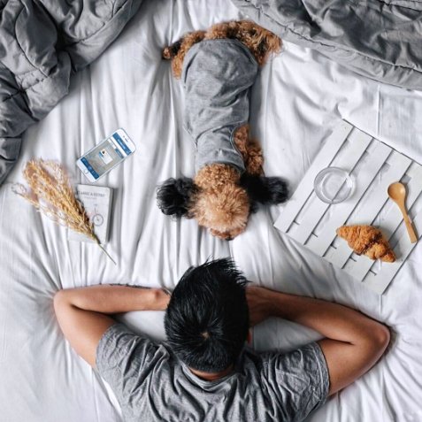 BIZIT_Connect's tweet photo. According to research, dogs are considered "social magnets," helping you connect with others #DogDay #FridayFacts https://t.co/d7IcZnPIuJ