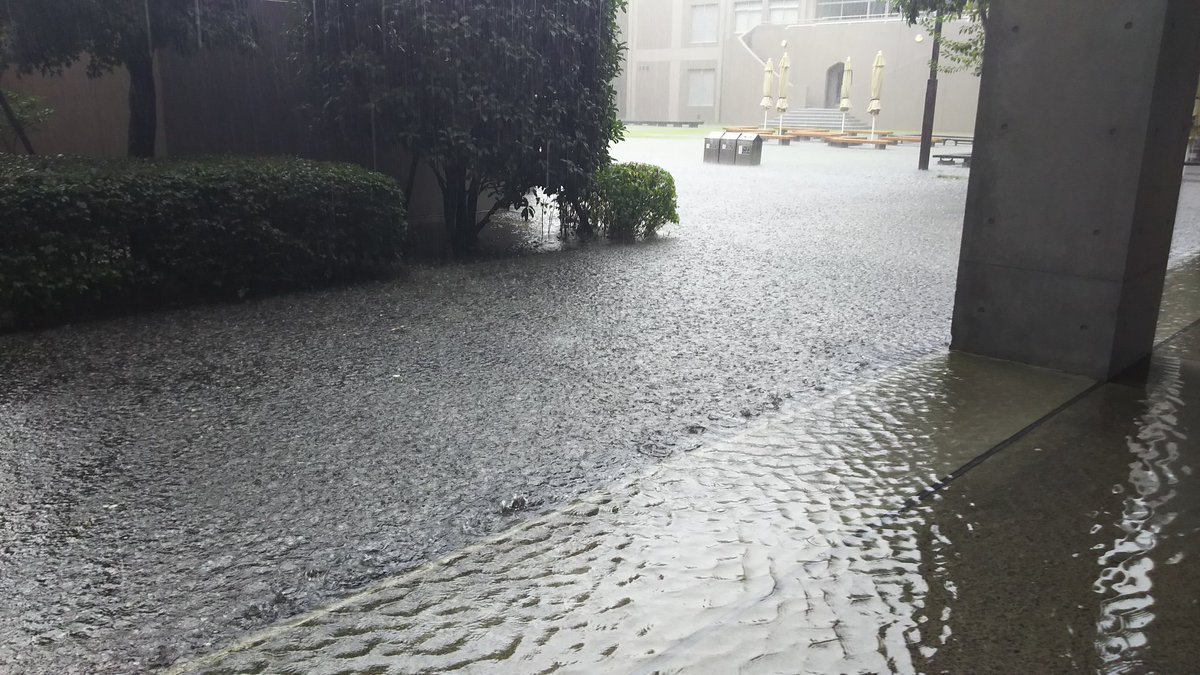台風 大学キャンパス内は冠水で中央大学内ではスプラッシュマウンテンが爆誕 Togetter