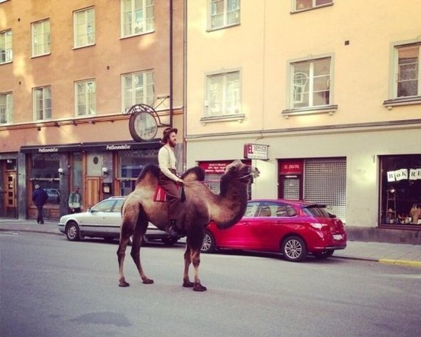 The 23 Most Hipster Things That Have Ever Happened: stumbleupon.com/su/2WWijm/:84!… via <a href="/StumbleUpon/">StumbleUpon</a>