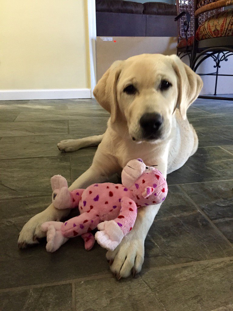 JKayeF's tweet photo. #Todd https://t.co/8yxCUSywuA