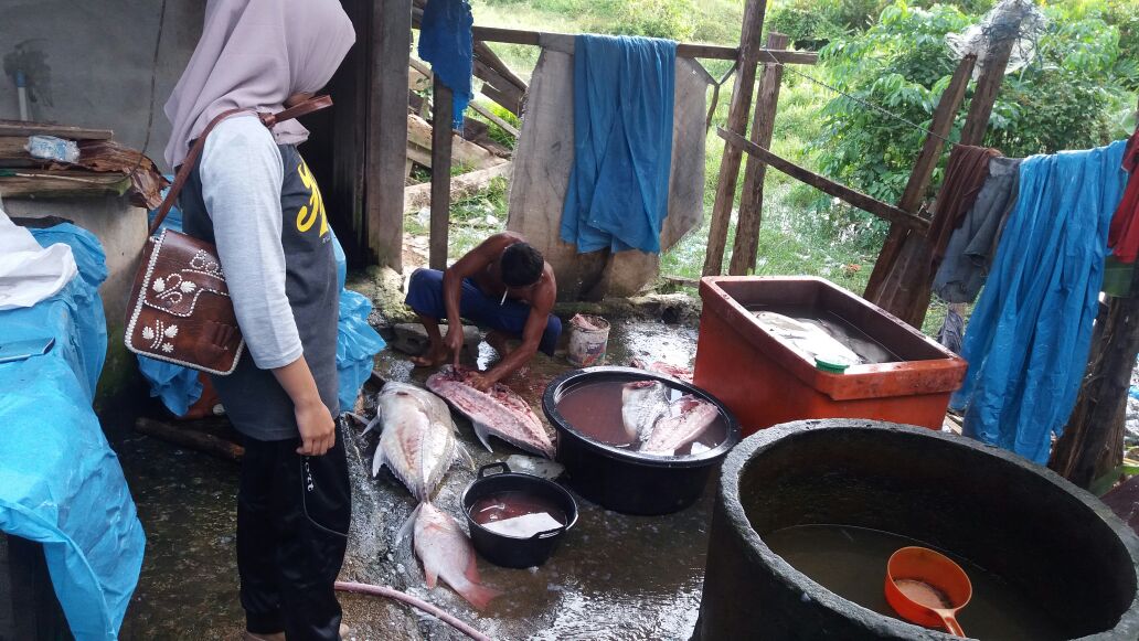 Sy Apid Tuti Handa tweet media