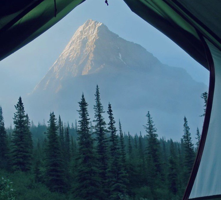 imagine waking up to this view with some s’mores in your hand MMMMM:P #mallowmallow #smores #camp #campviews