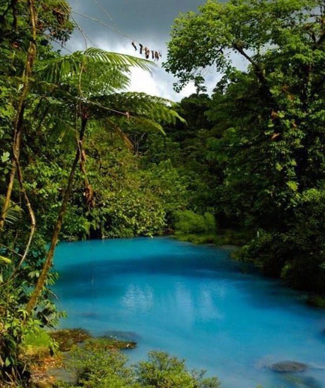 ExcursionesTie's tweet image. Bella Excursion a Rio Celeste.
Sept 4 - 5:30 am Catedral de S.J. 
Transporte - Desayuno (Rest El Jardin)
y almuerzo,