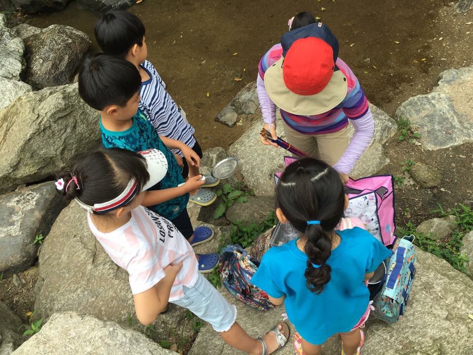 우리 #성남시 #청소년 들은 좋겠다💚
#자연을 사랑 마음 #쑥쑥
[#오감만족 우리 동네 숲놀이터] 프로그램🌲🌿🍃사기막골 계곡 속 생물들을 채집 및 관찰활동 중 #성남시청소년재단(이사장 이재명)#중원청소년수련관