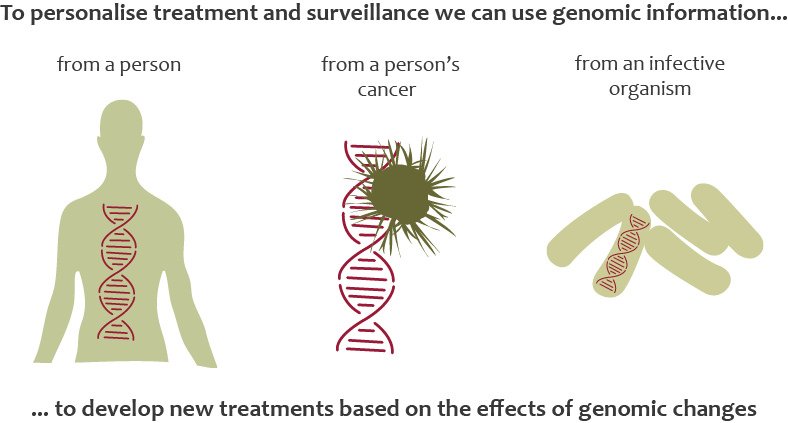genomicsedu's tweet photo. By understanding #genetics we can understand how to personalise medicine https://t.co/B6WSxnDcl8