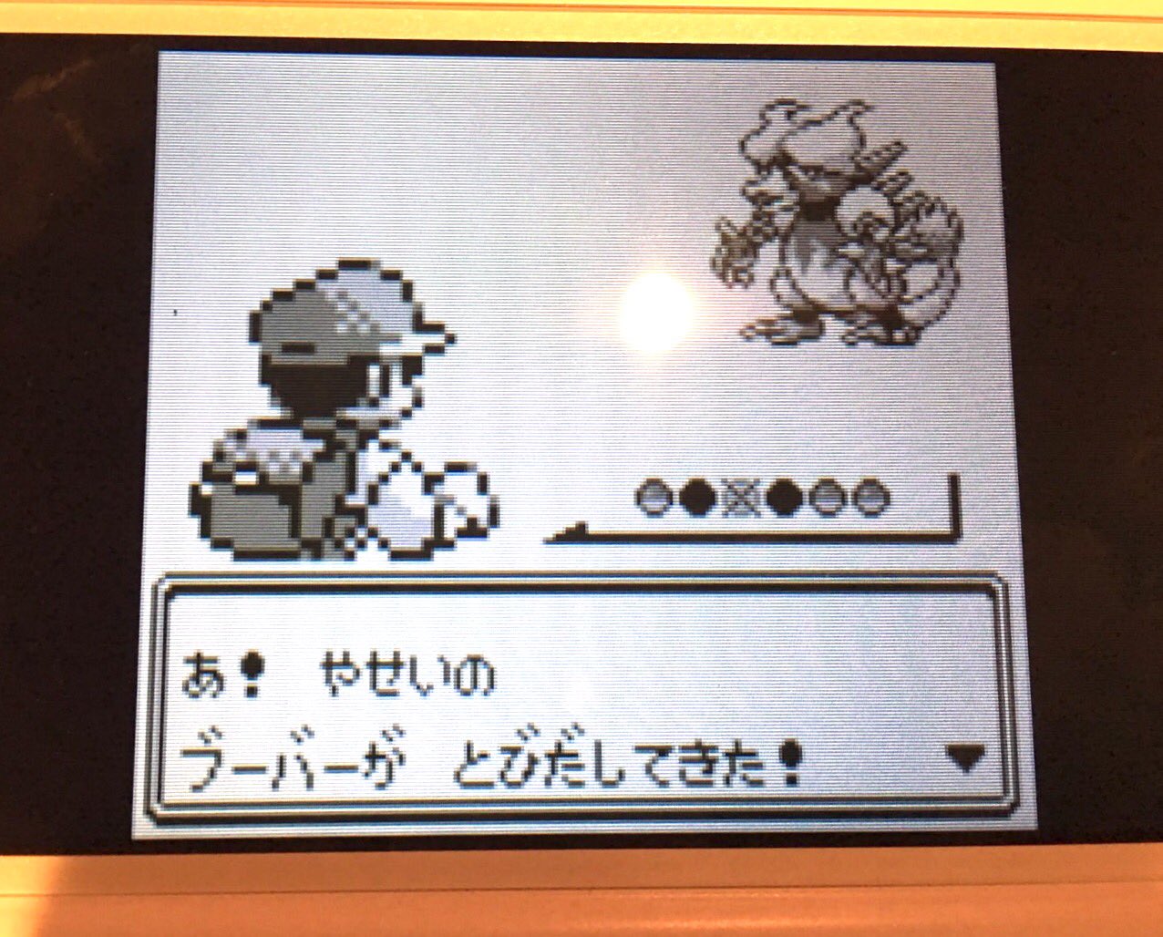 O Xrhsths ありかちょポケモン図鑑 Sto Twitter 有野課長より 初めて見た ブーバーつかまえた ポケモン屋敷家賃払ってもええわ O Xrhsths ありかちょポケモン図鑑 Sto Twitter 有野課長より 初めて見た ブーバーつかまえた ポケモン屋敷家賃払ってもええわ