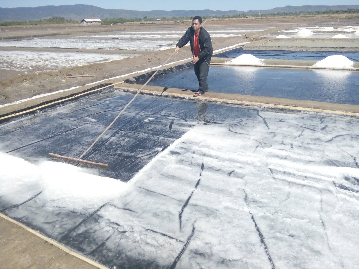 Dedi Syafikri tweet media