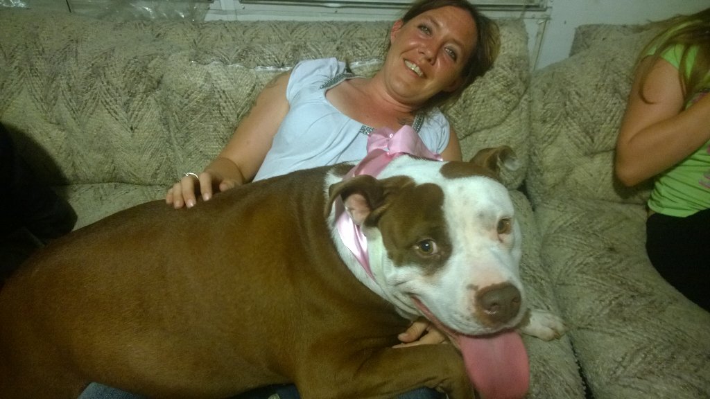 BriehartmanStar's tweet photo. After being gone all my #prettypitti loves to be with mommy #PitBulllove #nannydog #dontmesswithmybreed https://t.co/qQaKtHRMgy