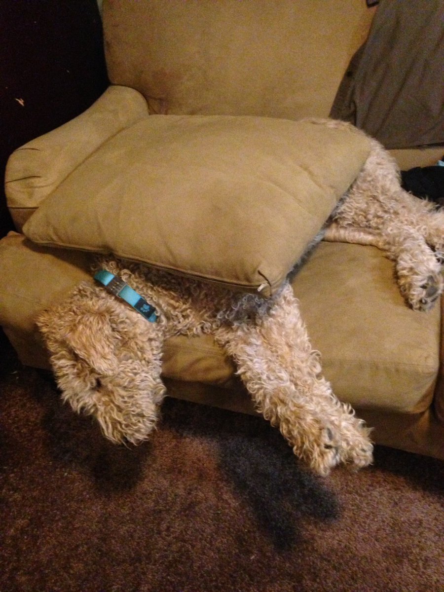 guy451m's tweet image. Looks like a Faith sandwich!