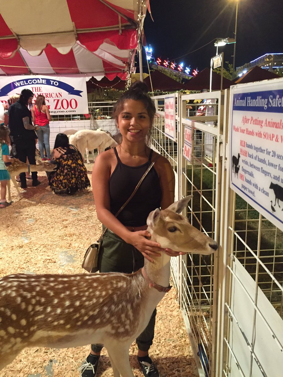 GamezCatherine's tweet photo. I love petting these animals so much I want all of them 😍 https://t.co/YwDqFTWUrv