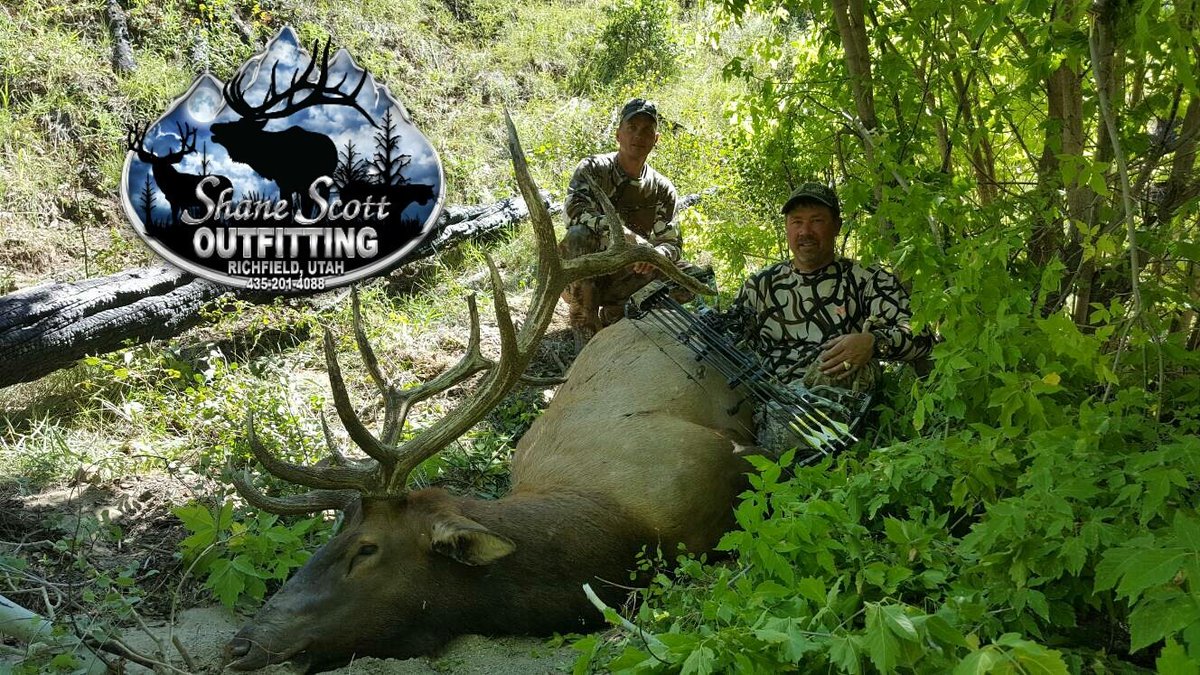 shanescottutah's tweet photo. Dennis harvested this great bull with Team SSO Guide Keith Johnson! #keithjohnsonkillingmachine #sso #teamsso https://t.co/Eoqswx5QsX