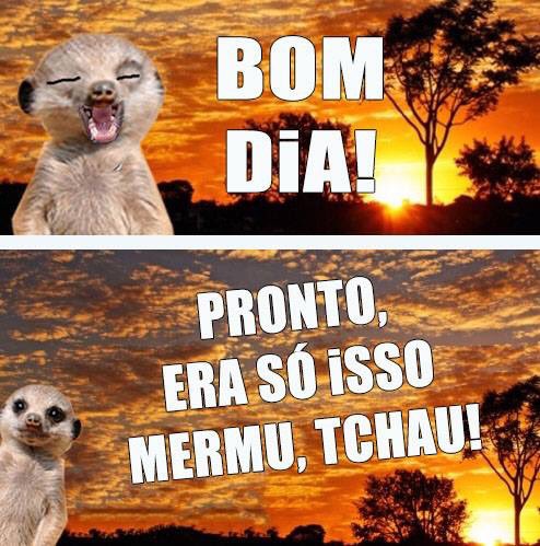 Aqui é assim: ou é 8 ou 80. on Twitter: Aqui é assim: ou é 8 ou 80. on Twitter: