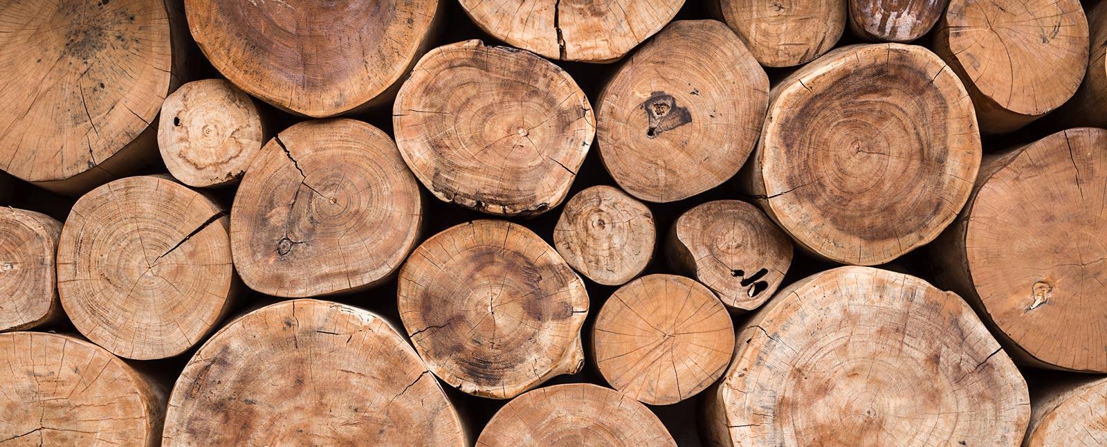прочные породы древесины