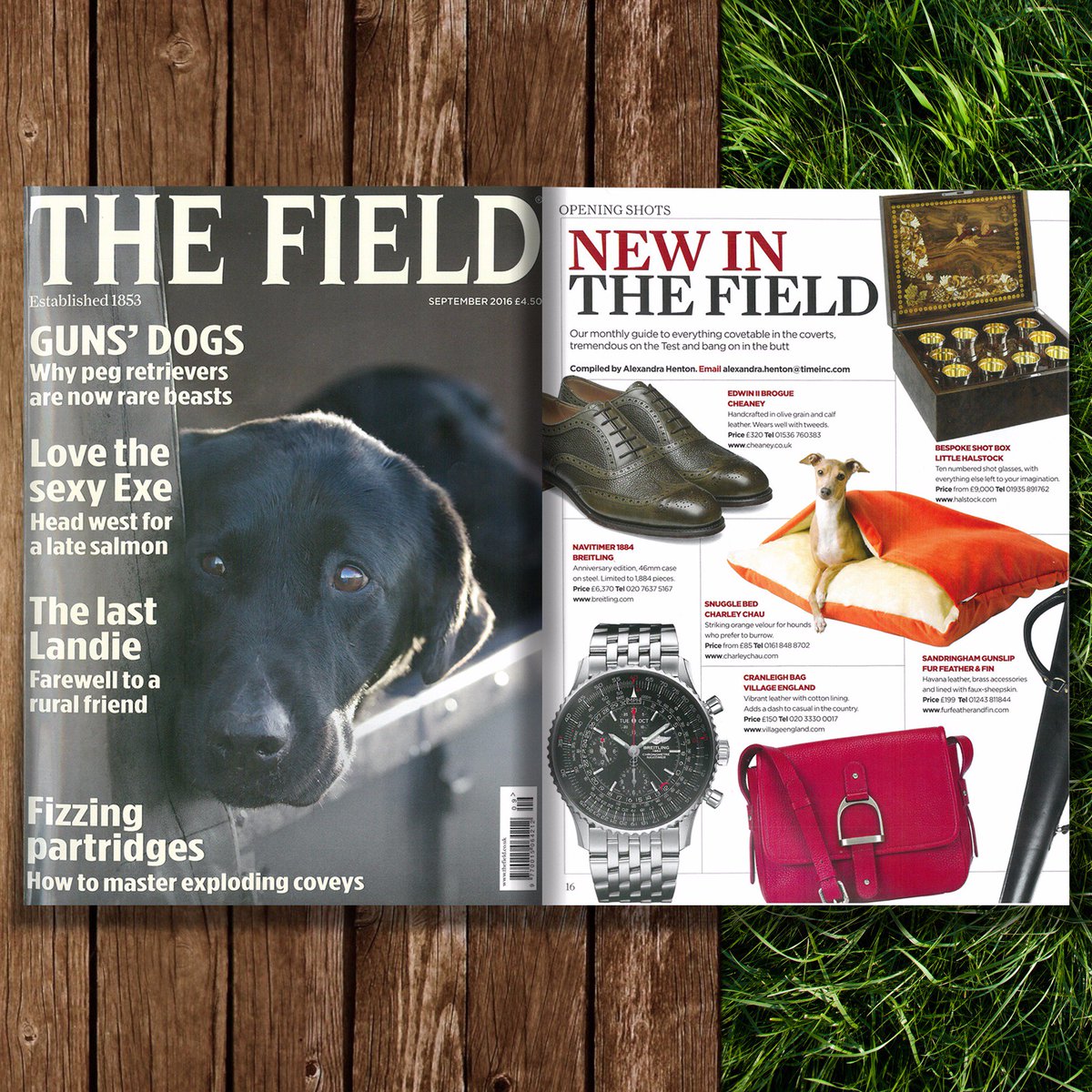 HalstockEngland's tweet photo. Yet another @littlehalstock piece has made it into a magazine in this months @TheFieldmag #halstock #littlehalstock https://t.co/xscMNjSPDB