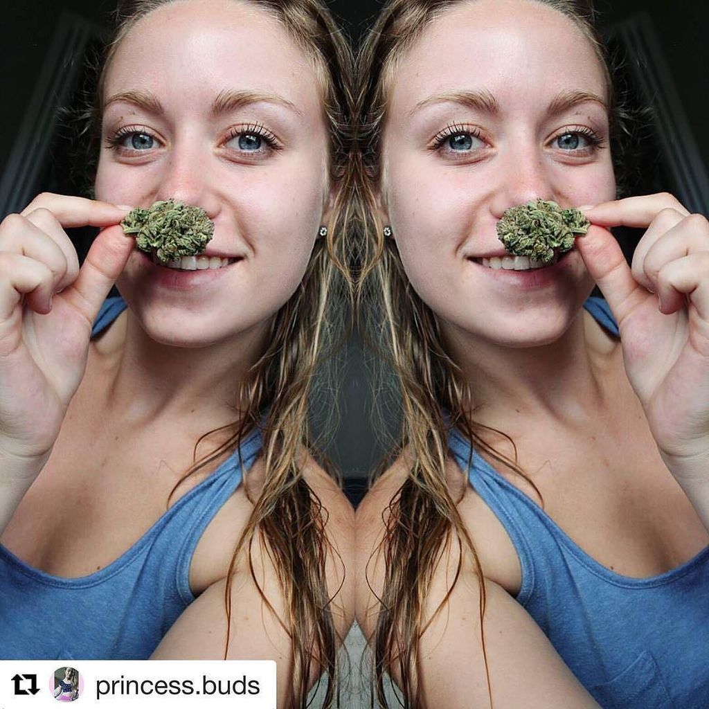 420storecl's tweet photo. 💚☀️ Buen día #cannabiscommunity  #bongbeauties #nugstache #cannabiscanada #onebakedbetch #… https://t.co/7RwVipMc0Y https://t.co/BiD0UKeoRG