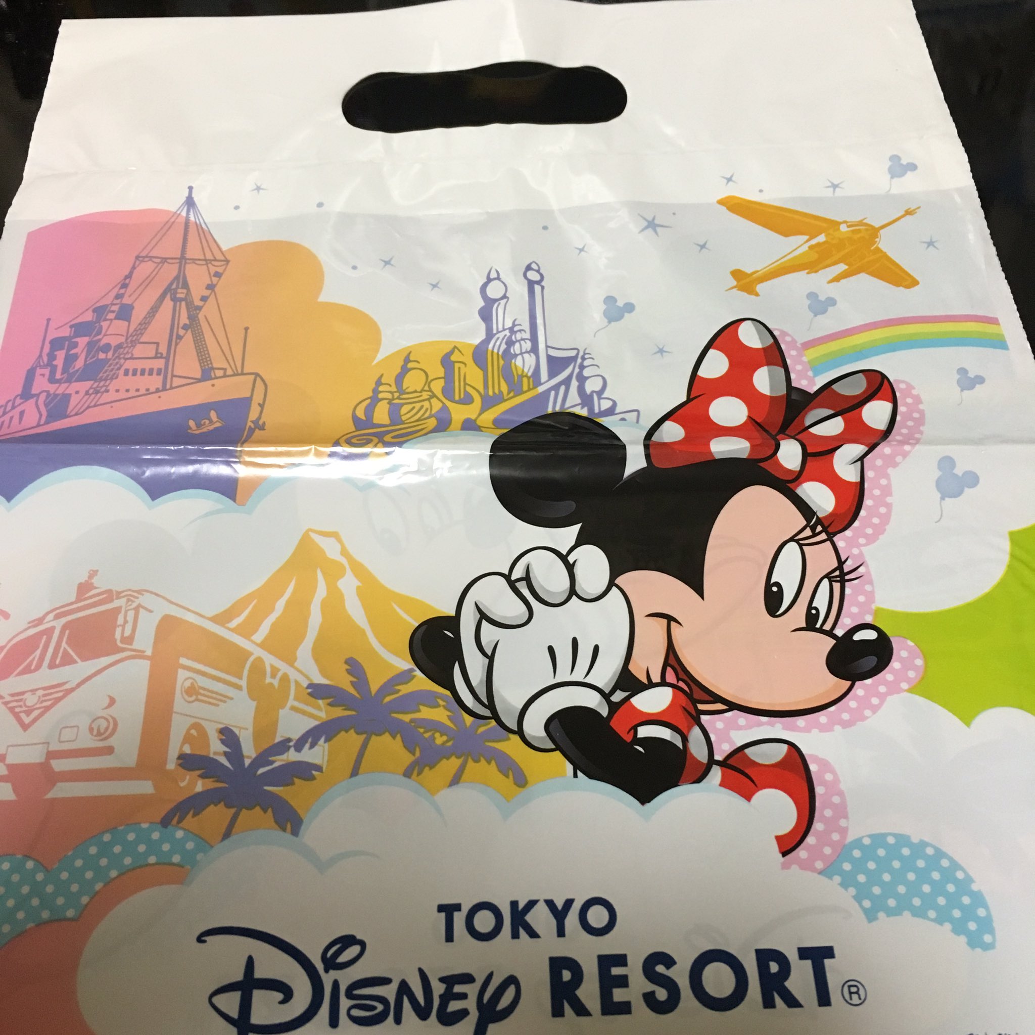 Nibo 大人の夏休みの工作 ディズニーリゾートのお土産の袋があるでしょ こうしてこうしてダイソーでカバー買って貼ったら ほら 可愛いtdr お薬手帳 カバー ストームライダー もあるよ のできあがり カードポケットもあって便利 T