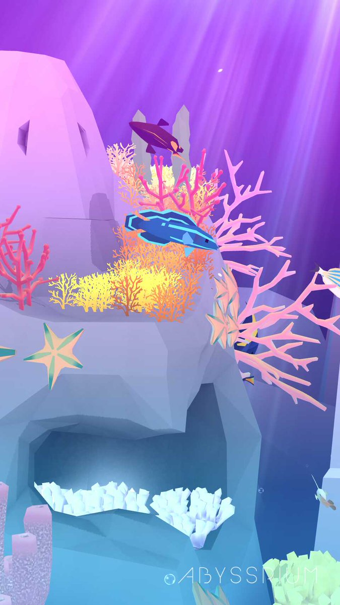 UnimaginaryKid's tweet photo. My Springer Dottyback:) 
#abyssrium
https://t.co/sWL7edSQes https://t.co/gKGAB8ZXju