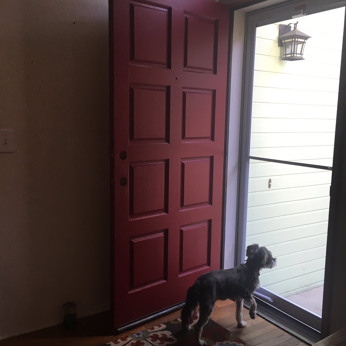 NewCircleTribe's tweet photo. This was the weekend of painting the front door....I finally have my beautiful red entry! #goodvibes #welcomepeace https://t.co/2CLjZDl569