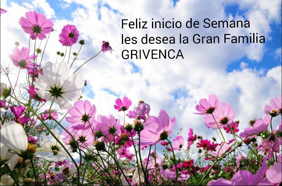 Grivenca, C.A (@grivenca) on Twitter photo 