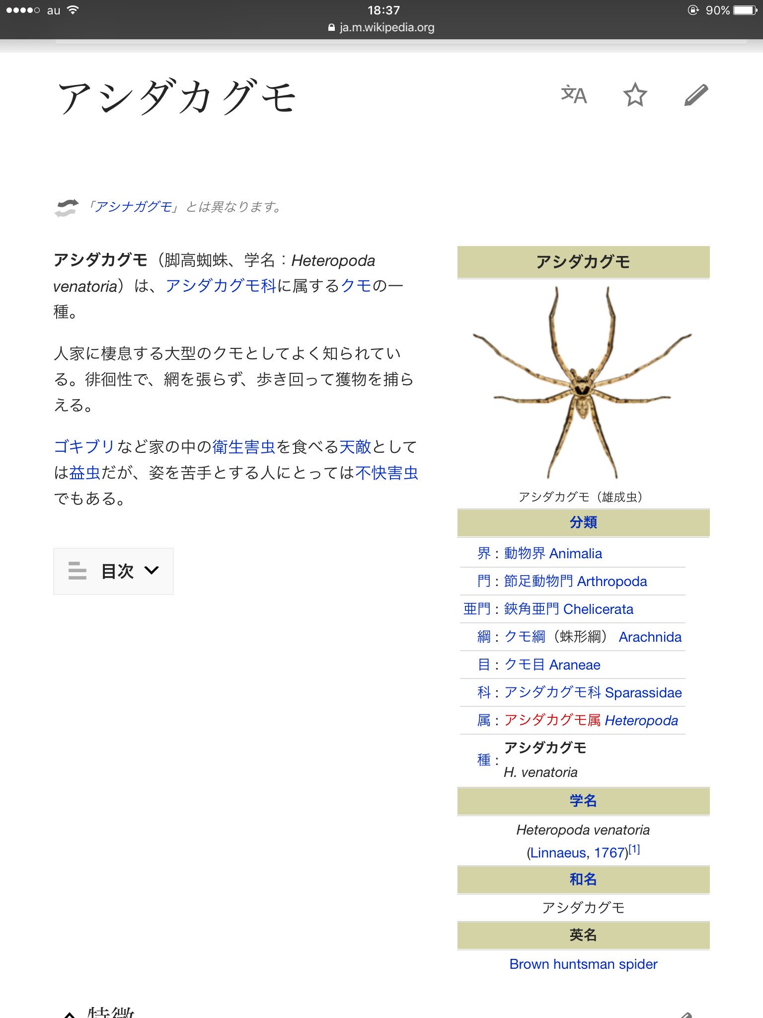 ᯤソルトᯤ Soruto Twitter