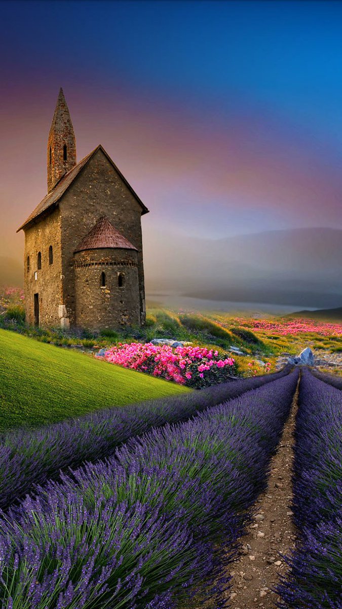 Angelo ♈ (@waglio_o) on Twitter photo 