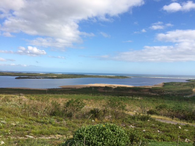 Cape Whale Coast tweet media