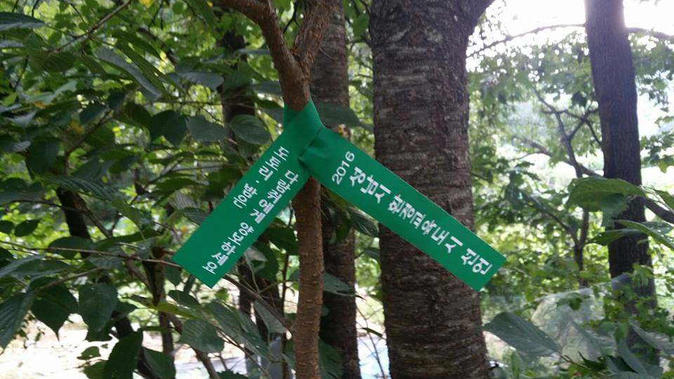 #성남시 환경정책과에서는 야생열매류 채취금지 현수막 및 리본을 새마을연수원, 이배재고개 등지의 등산로에 설치하였습니다. 도토리, 밤을 주워가시면 다람쥐가 배고파요!