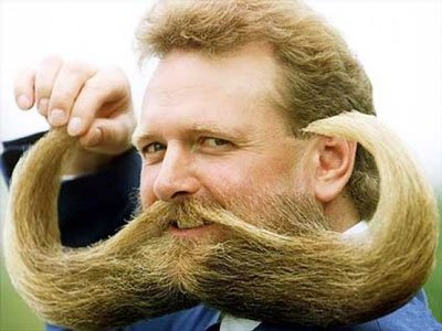 JonBoyBeard's tweet photo. Aberdeen Angus #awesomebeards https://t.co/aBP4USZtDz