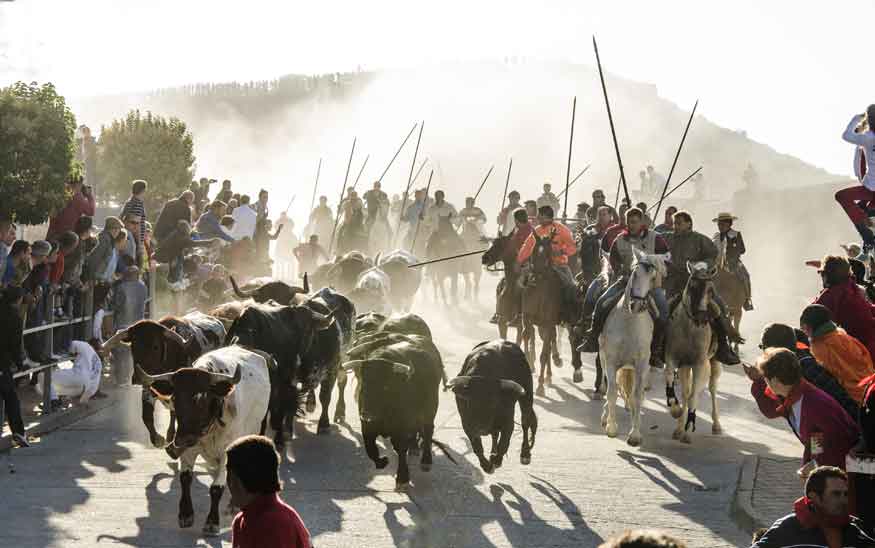 344 caballistas inscritos en los #encierrosCuellar cuellar7.com/344-caballista… .<a href="/caballoscuellar/">caballoscuellar</a> <a href="/ernescuellar/">Ernes Fernández</a>