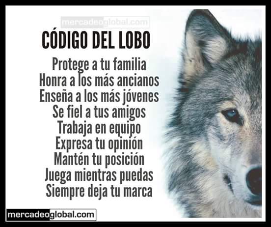 gabydeas's tweet photo. El #CodigoLobo lo puedes aplicar a tu vida.
#gabydeas https://t.co/EA5zZ4oYAi