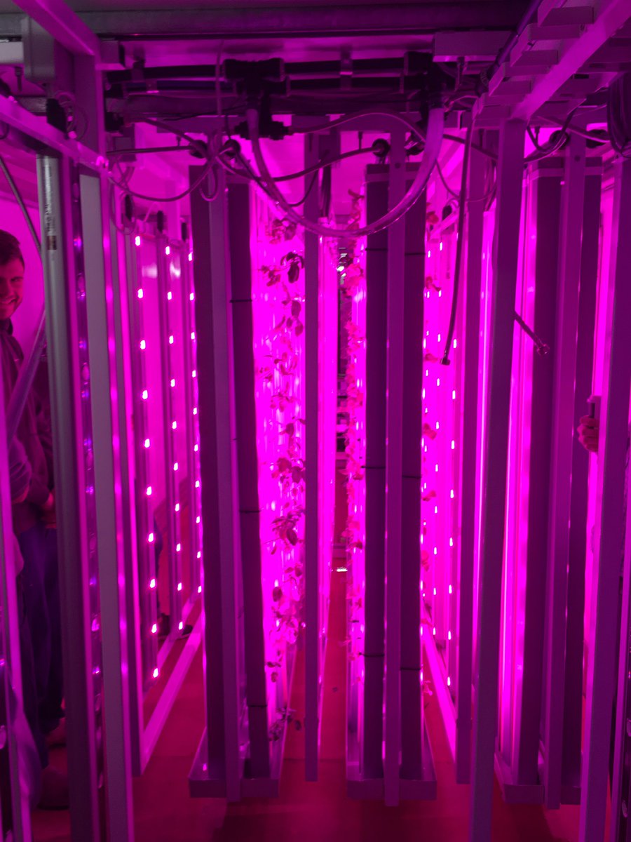 Sprout_Stack's tweet photo. .#SproutStack now fully planted! With approx 5,000 + plants in a 40ft container = 2 acres equivalent #urbanfarm https://t.co/KVoliytpx8