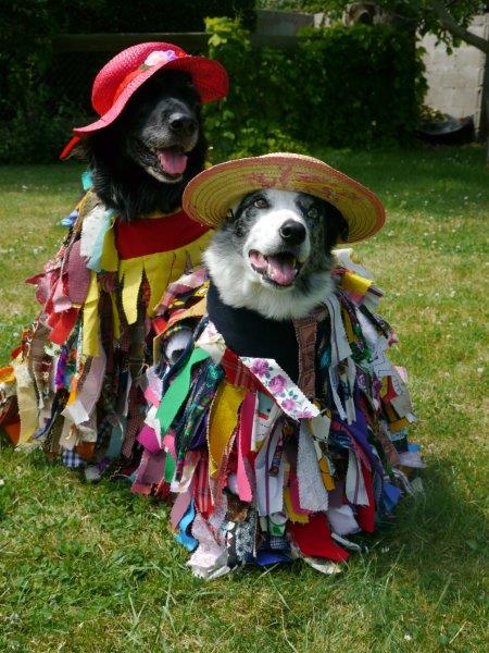 Looks like it will be a lovely evening for a stroll in <a href="/howarddavispark/">Howard Davis Park</a>. Catch #HelierMorrisMen there at 8pm tonight