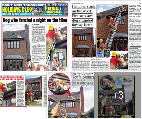 TTMPltd's tweet image. 