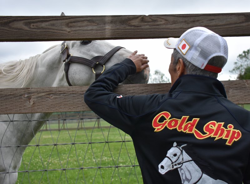 競馬】ゴールドシップジャケットジャンパー