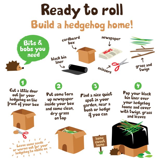 WildlifeTrusts's tweet photo. Get back to nature, help your local wildlife and build this hedgehog den for your prickly neighbours #pawsoutdoors https://t.co/B1caycsjF0