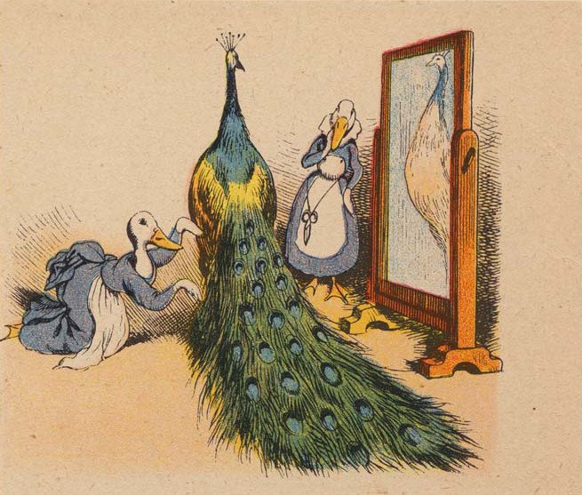 坂本葵 すみません さっきうっかり 孔雀奥様のドレスを整えるあひるメイドさん と書いてしまいましたが 長く美しい 尾羽を持つのはオスでした オスですよ 19世紀末のイラスト Nypl所蔵