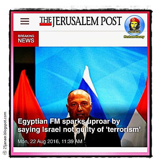 وزير خارجية «مصر»: لا يمكن وصف أفعال إسرائيل مع الفلسطينيين بالإرهاب