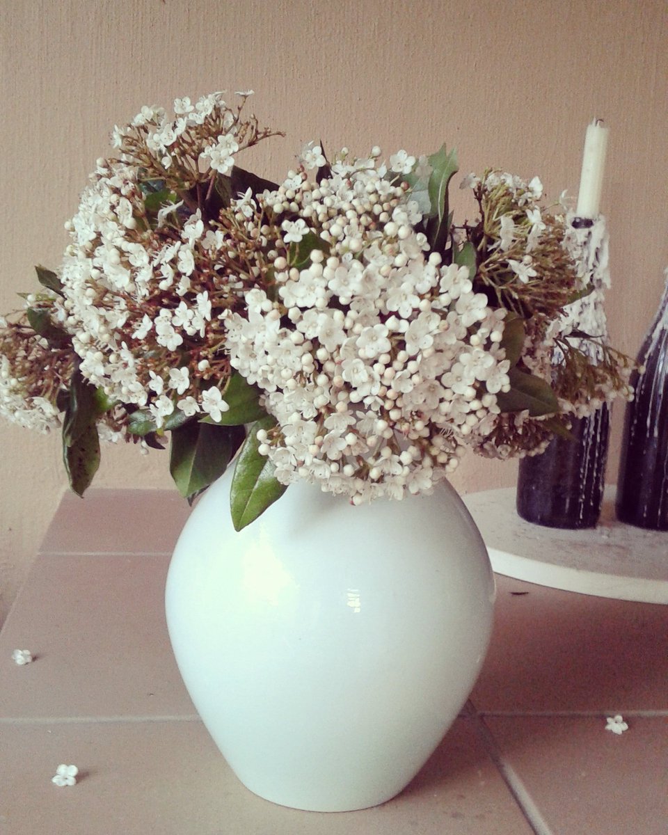 HomelifeBlog tweet picture