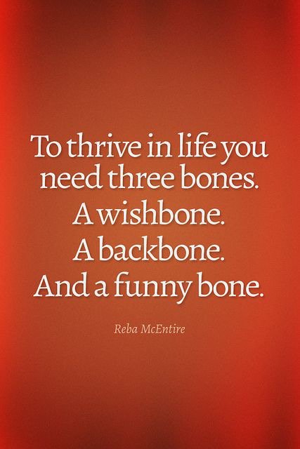 OneLife_Coach's tweet image. 