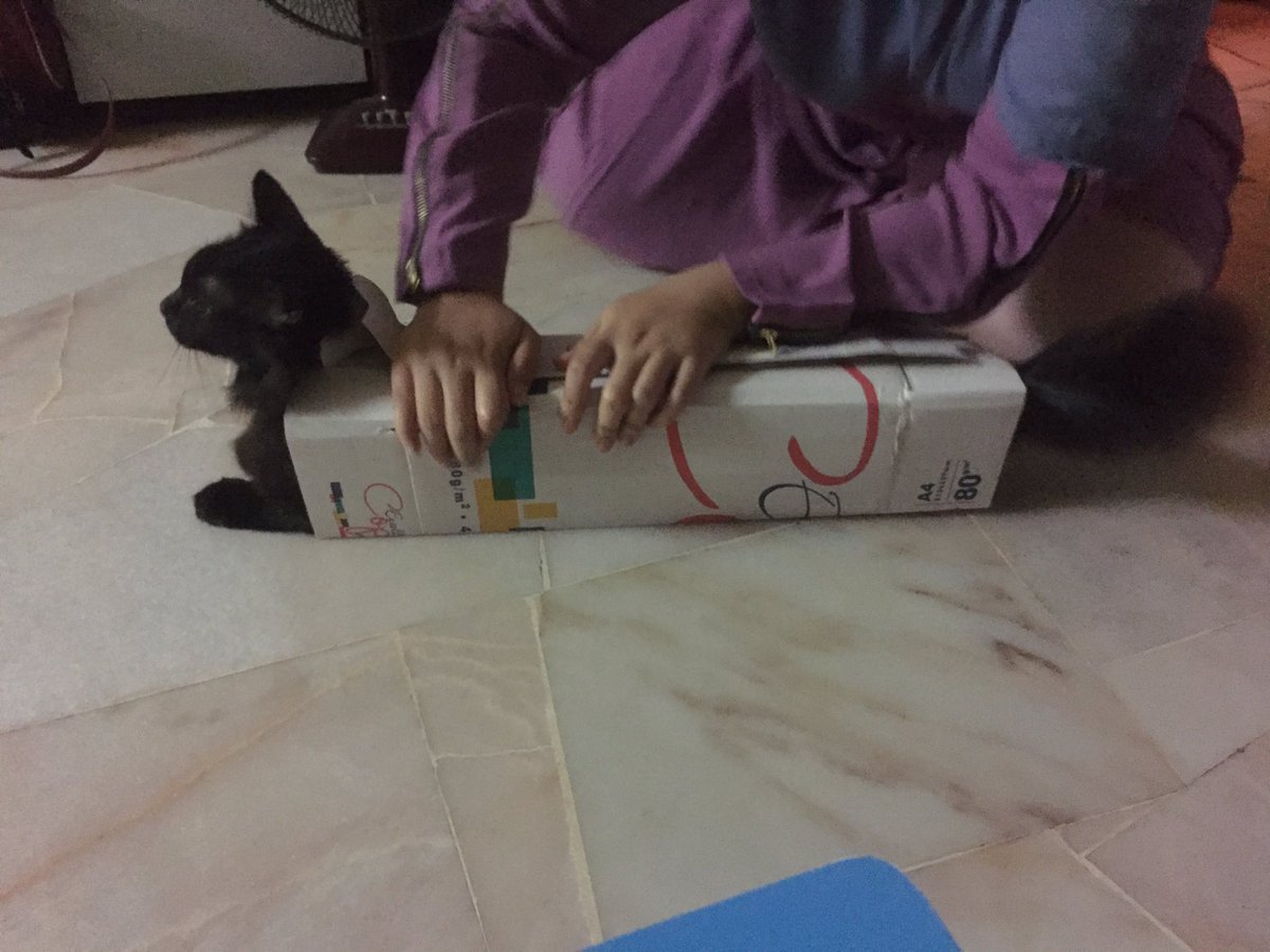 pQapQa92's tweet photo. Gatai main dalam kotak, amek ko acik bungkus #Kopithecat https://t.co/VtRXqaQLb8