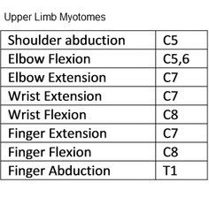 Myotome Chart Upper Extremity