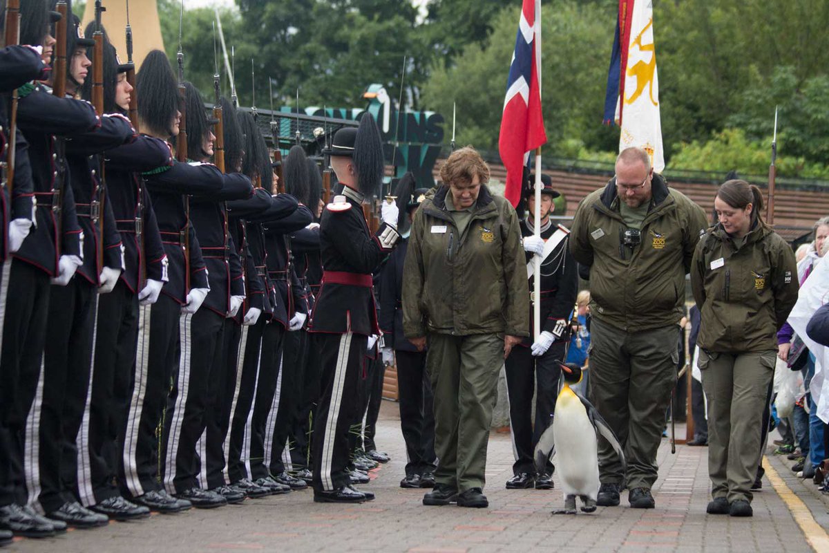 EdinburghZoo's tweet photo. Nils Olav: the most famous king #penguin in the world, parades his way to a new honour: https://t.co/Ch7nrFIO2D https://t.co/dSEgK2oHa5
