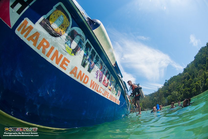divedownbelow's tweet image. #OpenWaterDive 4 @CampBorneo team #Bangau on @PADI #DiveCourse @divedownbelow #LoveDivingInTropics #Sabah #SCUBA