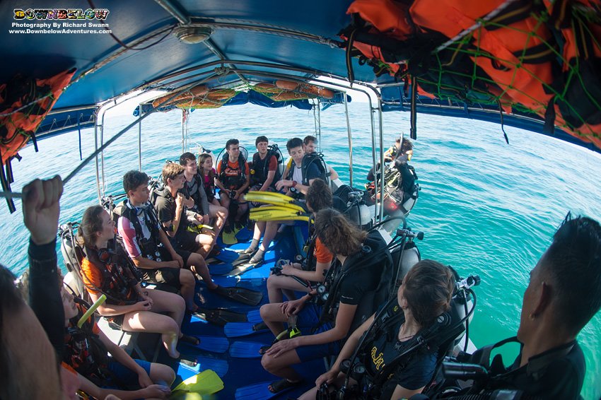 divedownbelow's tweet image. #OpenWaterDive 4 @CampBorneo team #Bangau on @PADI #DiveCourse @divedownbelow #LoveDivingInTropics #Sabah #SCUBA