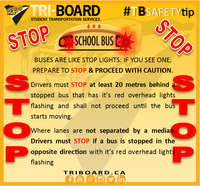 TriBoard on Twitter "See a school bus? Prepare to stop stop stop stop! TBSafetyTip 
