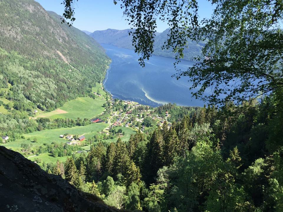 VisitDalen tweet media