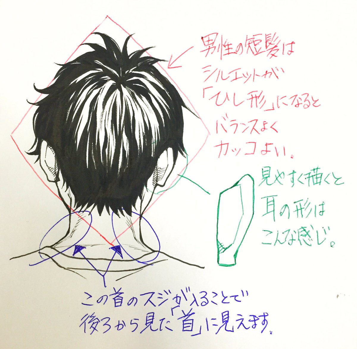 吉村拓也 イラスト講座 後頭部 首の 描き方 画像プチ解説 ポイントはこの3つ